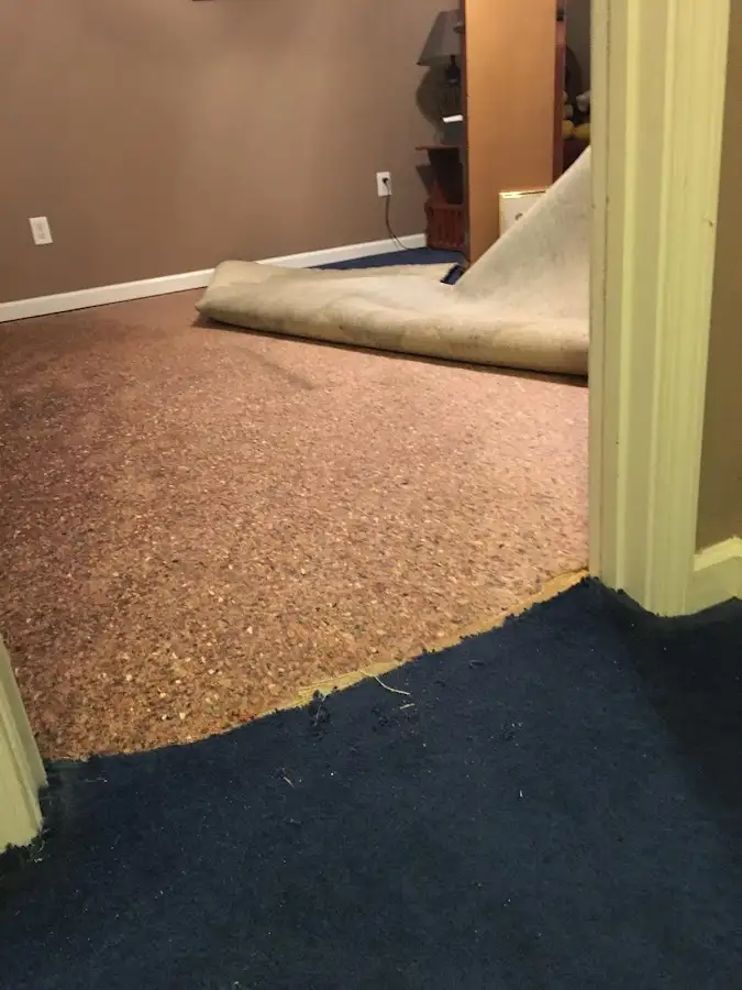 Carpet pad removal revealing water damage during Water Mitigation Services in Fircrest