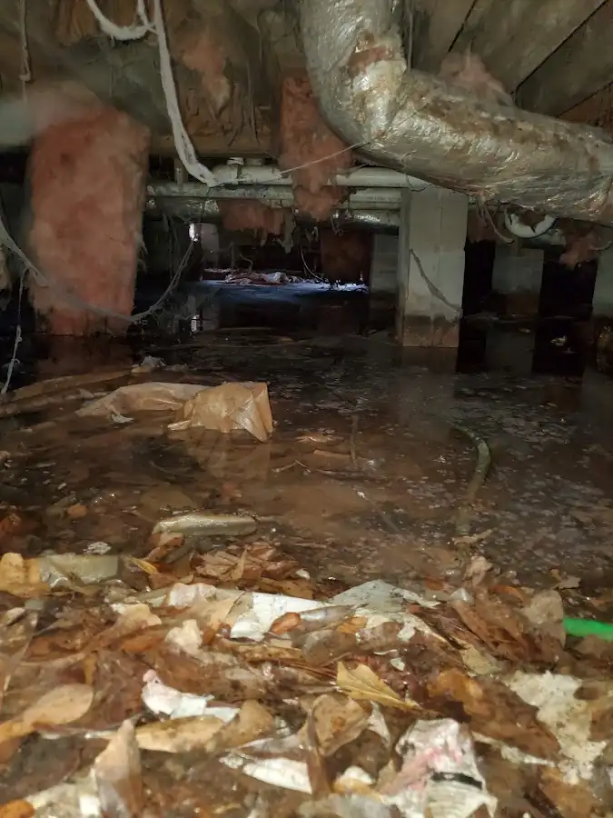 Crawl space flood assessment for Leak Detection & Repair in Fircrest