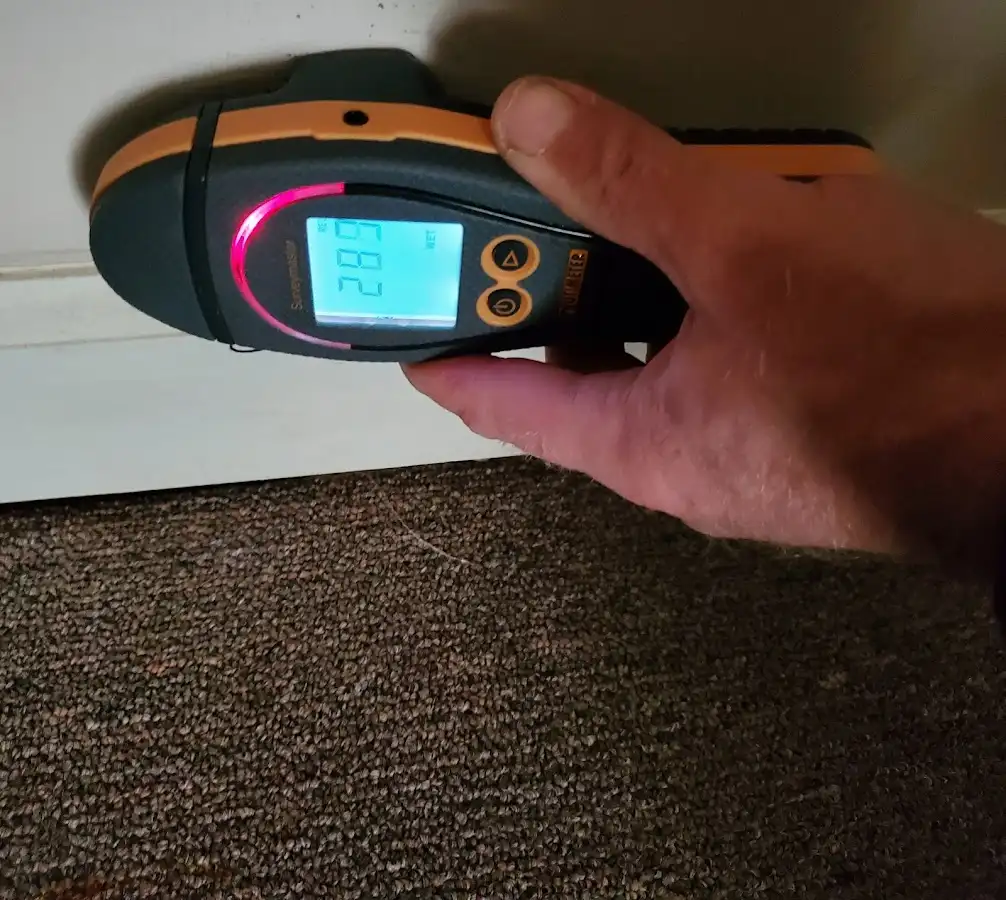 Moisture detection at baseboard during Storm Damage Restoration in Fircrest